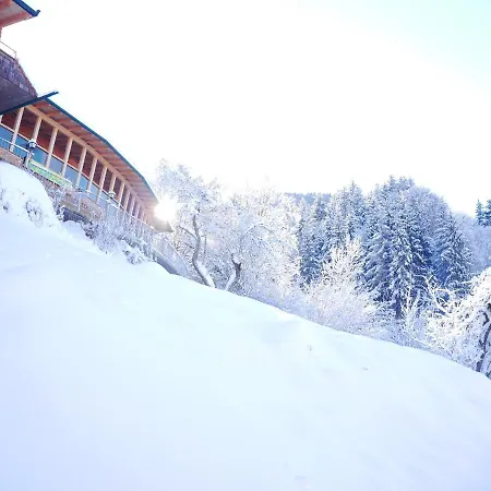 Gasthof Be 550 *